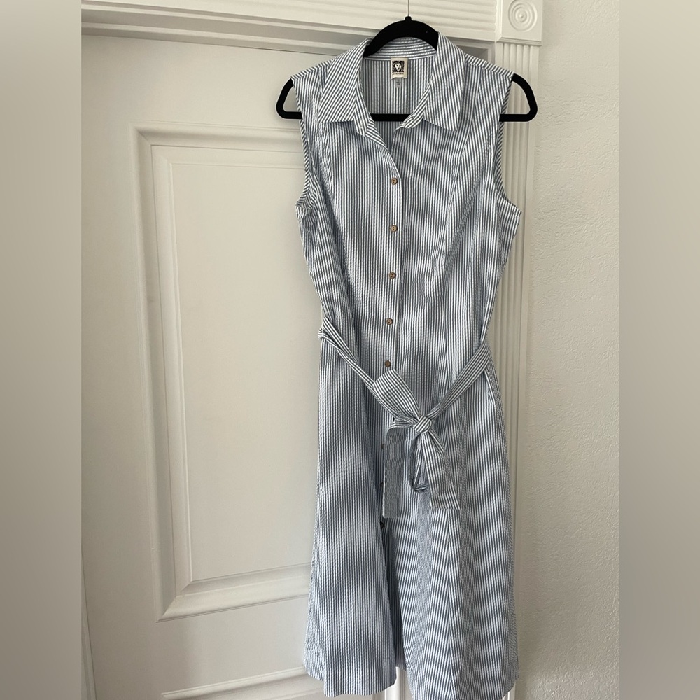 Adorable blue seersucker dress